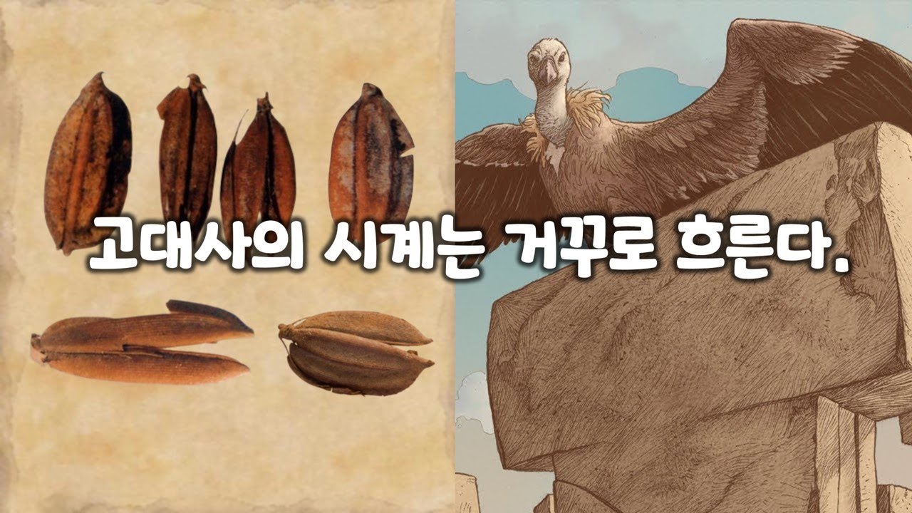 소로리볍씨와 괴베클리 테페. 고대 인류사를 다시 써야 할 최신 연구 성과는?