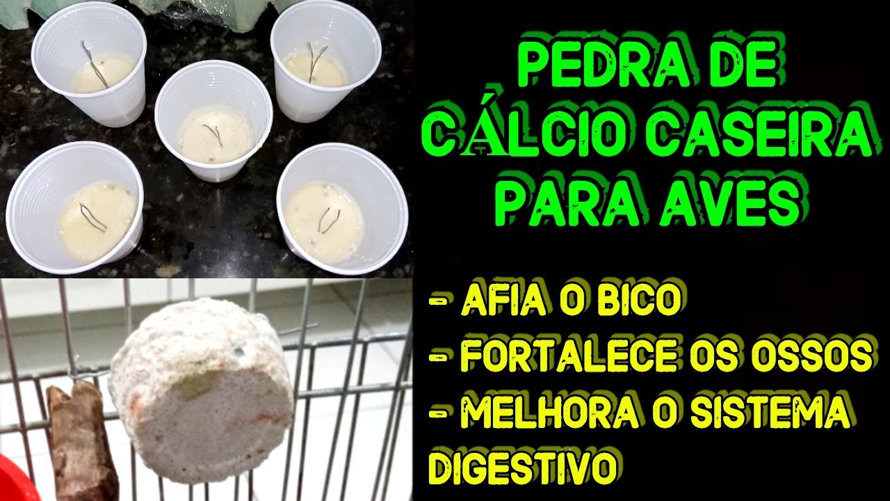 COMO FAZER PEDRA DE CÁLCIO PARA AVES - FÁCIL