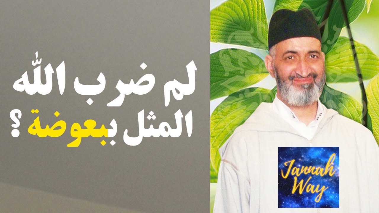 🔴 اكتشف اسرار سورة البقرة ـ إن الله لا يستحي أن يضرب مثلا ما بعوضة فما فوقها