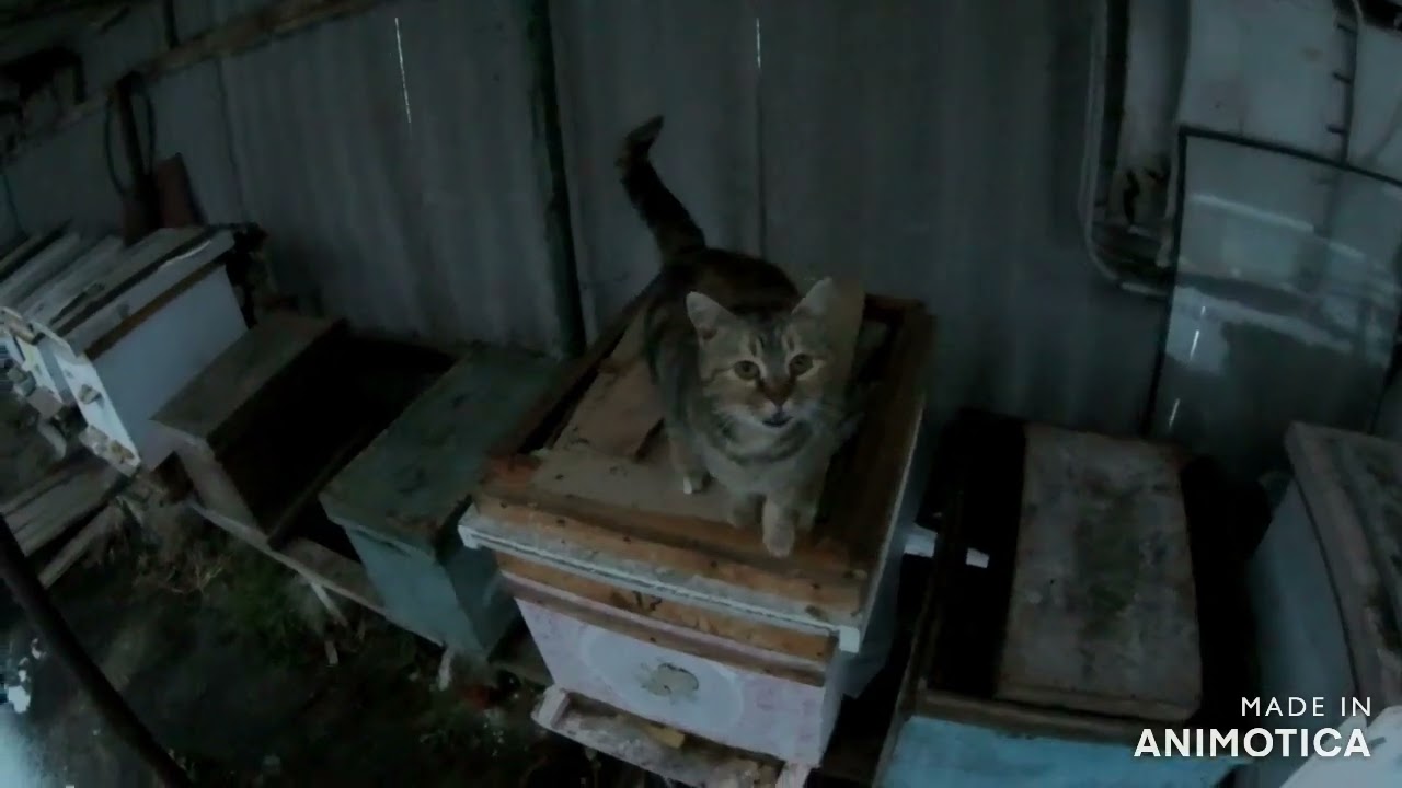 27 12 25г  Зимуем и работаем