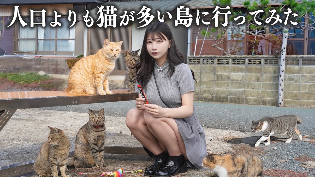 人口より猫が多い猫島に行ったら、想像以上に猫まみれだった...