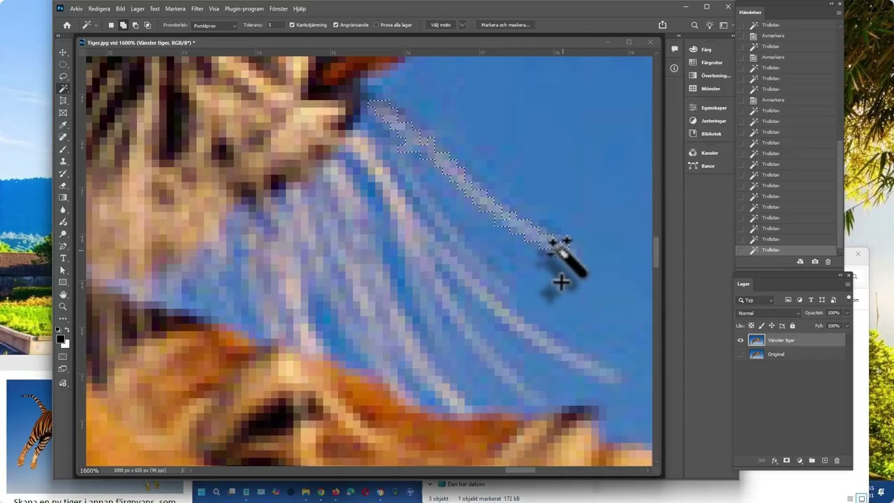 photoshop_tiger_med_lillasyster