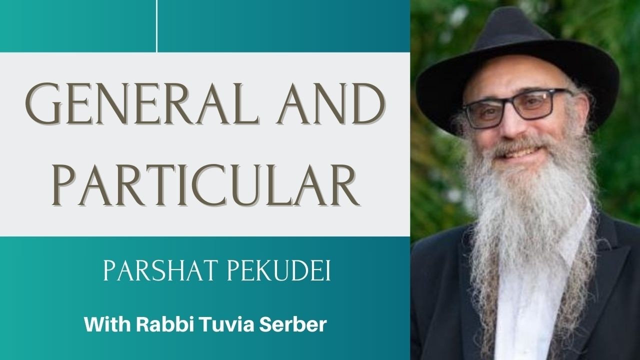 PARSHAT PEKUDEI   GENERAL AND PARTICULAR