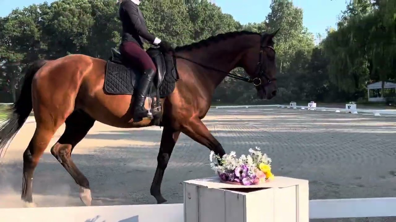 Ella Porter, Training level 2