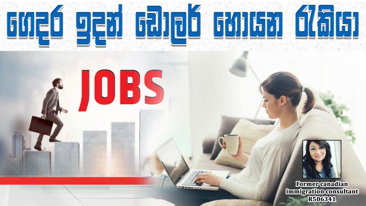 ගෙදර ඉදන් ඩොලර් හොයන රැකියා /  Flexjobs Work from home  2