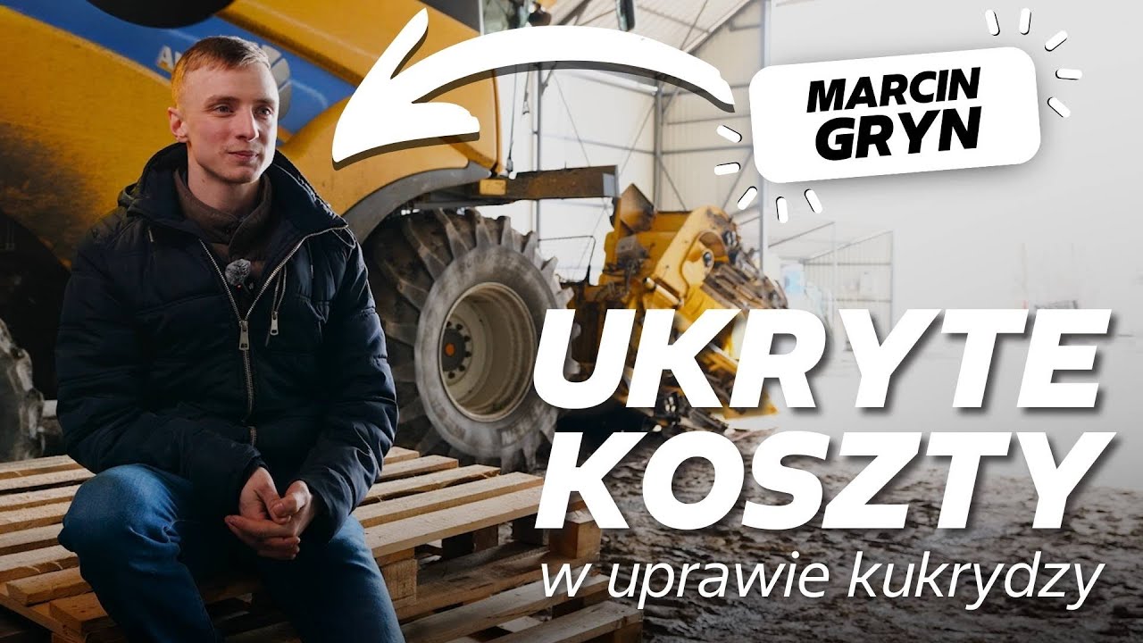 UKRYTE KOSZTY - w uprawie kukurydzy 🌽