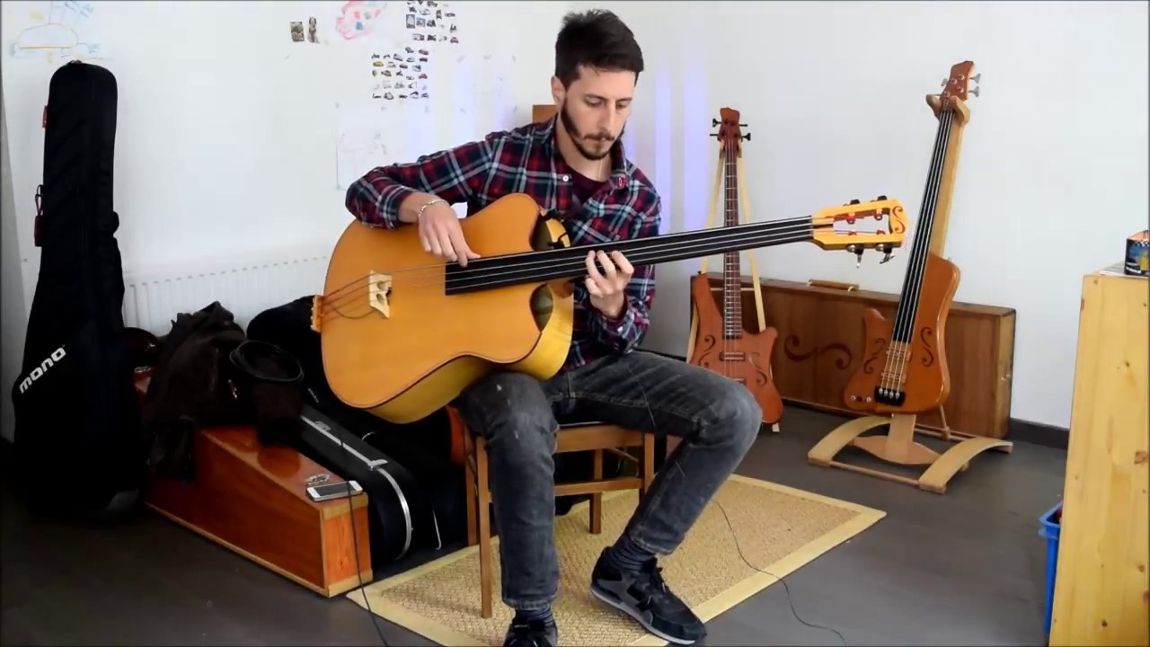 IRIS, archtop acoustic bass guitar
