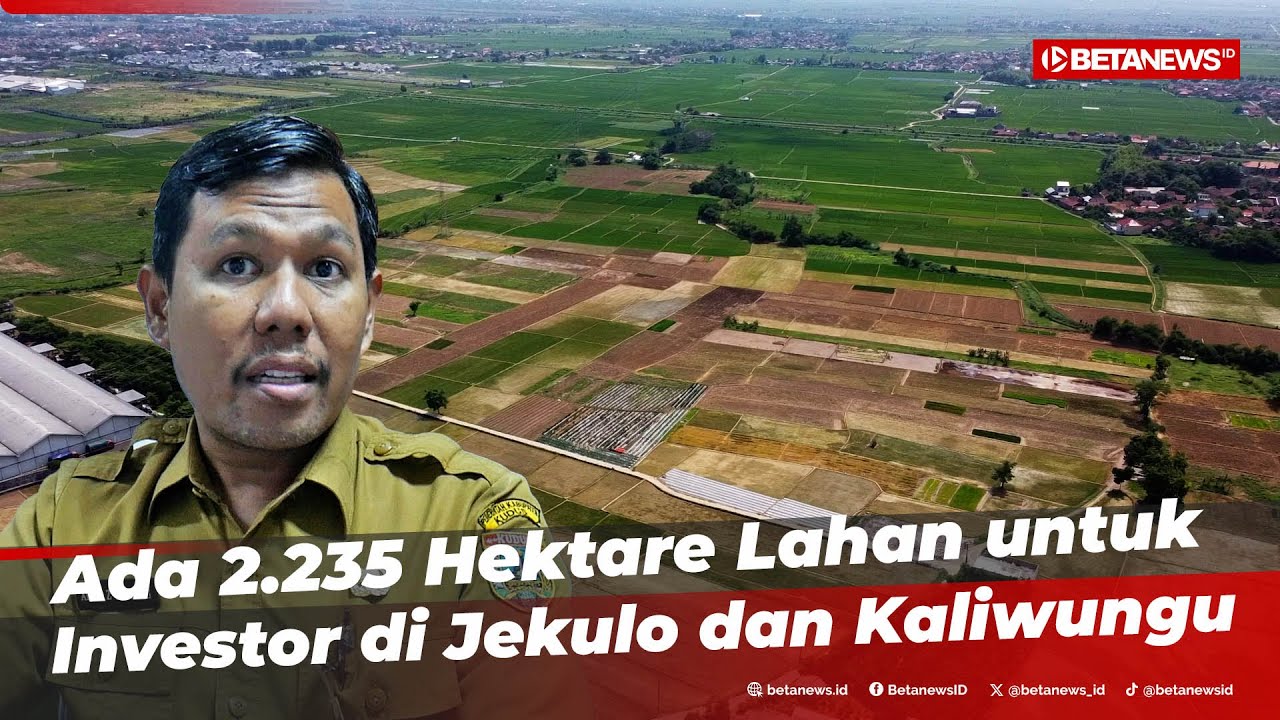 Pemkab Kudus Sediakan Ribuan Hektare Lahan Baru untuk Investasi Industri