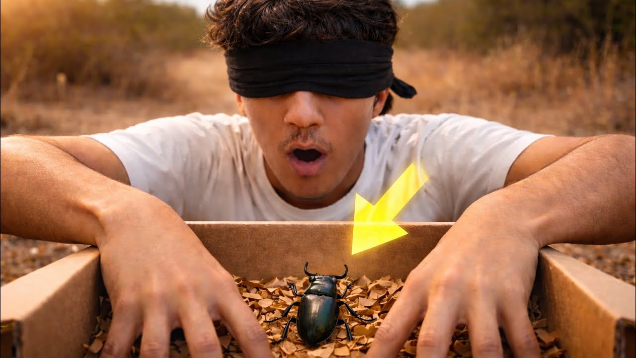 تحدي وش داخل الصندوق سلمان جاب راس خروف🙀