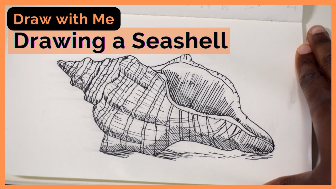 Seashell Drawing - Draw with Me