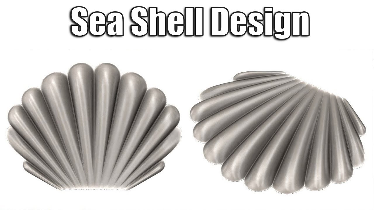 Sea Shell Design in SolidWorks | 3D Modeling Tutorial for Beginners