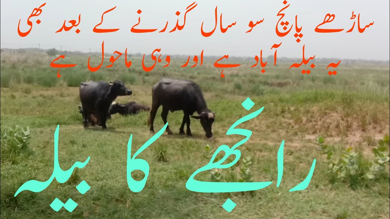 Ranjhy ka Bela # mera mazi meri taqat