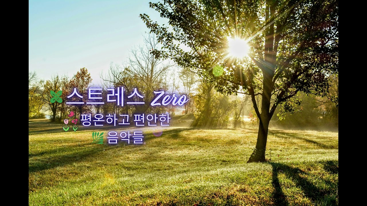 ✨스트레스 ZERO 🕯️ 평온하고 편안한 힐링 음악 | 비소리 + 촛불 + 자연 앰비언트 (2시간 20분)