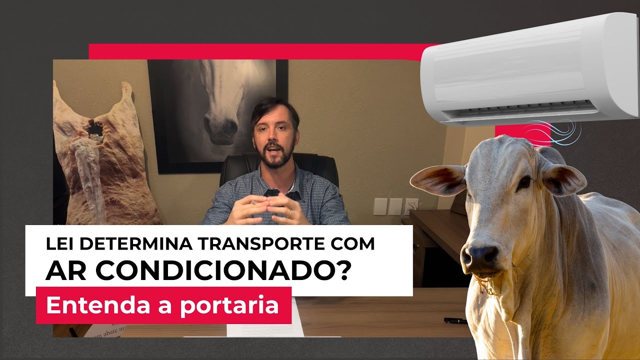 LEI DETERMINA TRANSPORTE COM AR CONDICIONADO? ENTENDA A PORTARIA!