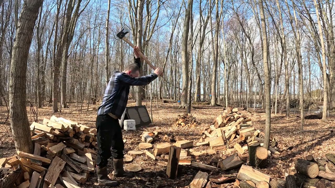 Daily Firewood: Day 45