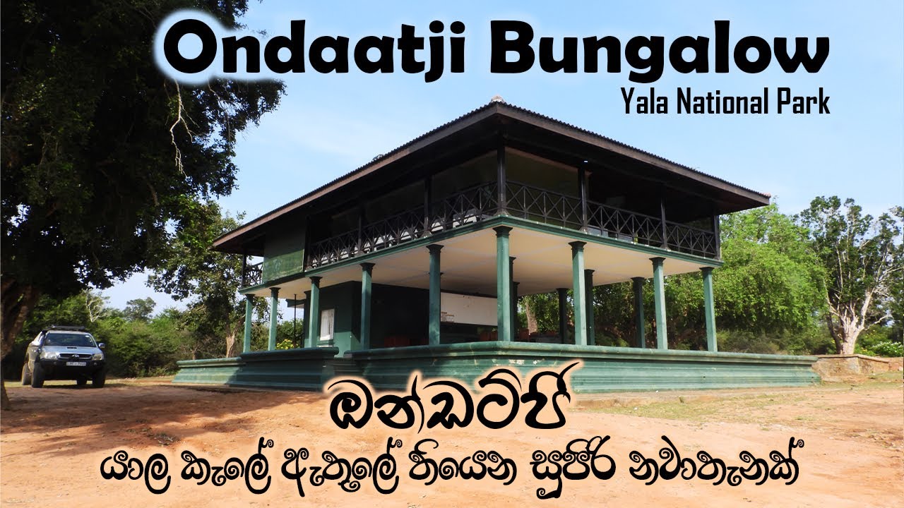 ඔන්ඩට්ජි බංගලාව | Ondaatje Bungalow | Review | Yala National Park | Sri Lanka