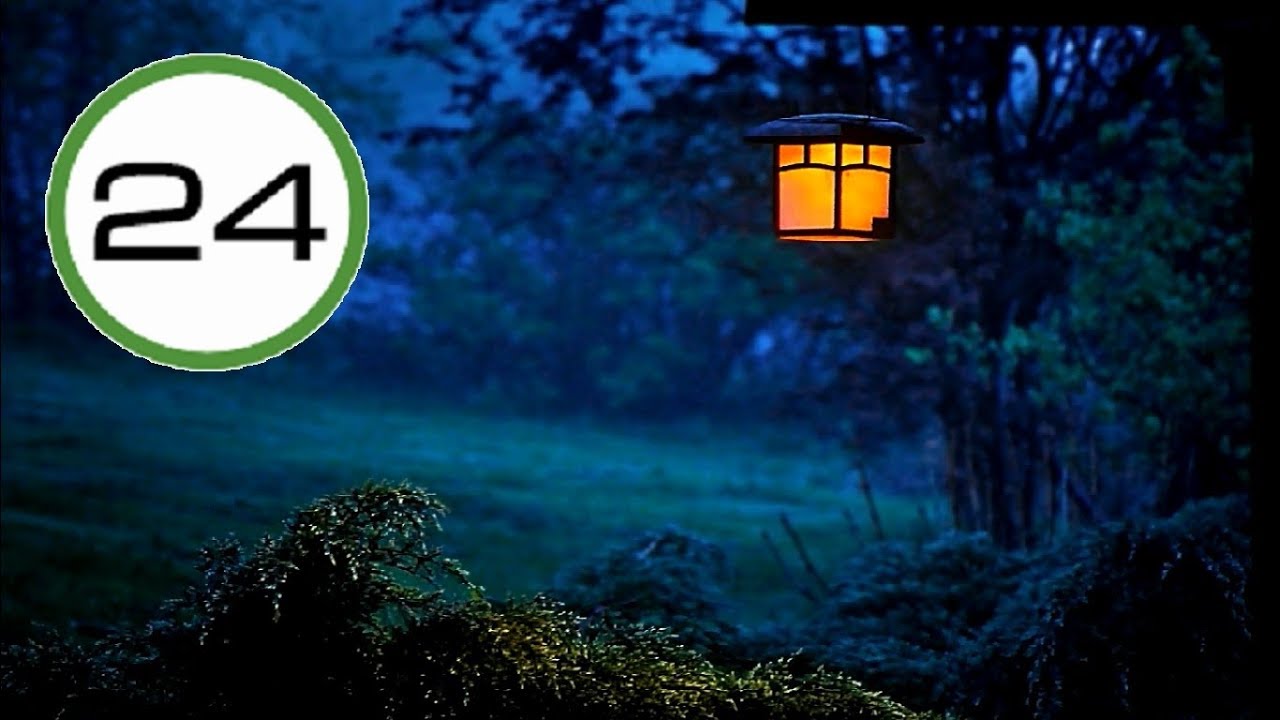 SONIDO de GRILLOS🐜🐜 y P&Aacute;JAROS🐤🐦 para DORMIR💤Profundamente. Sonido de la Naturaleza 🌍 100% REAL