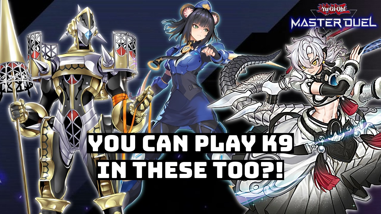 My Viewers Showed Me Just How Many Decks K9 Can Be Played In!