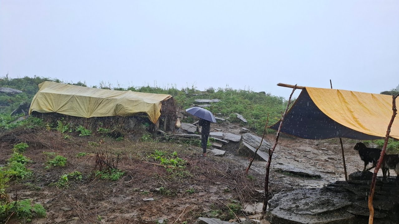 This IS Mountain Village Life  || Best Life In A Himalayan Village During Rainy Day | Shepherd Life 