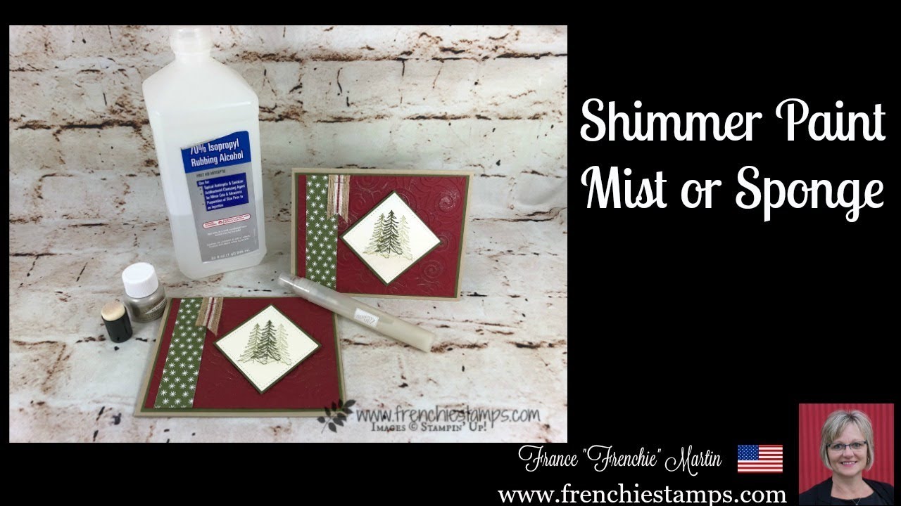 Shimmer Paint Mist or sponge