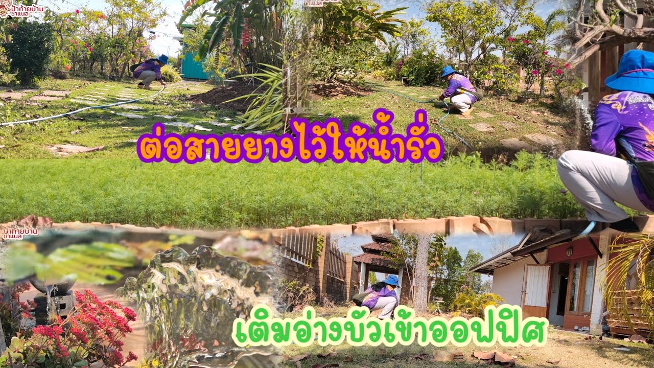 จะเปิดน้ำสปริงเกอร์เข้าออฟฟิศซ่อมสายยางให้หลุด