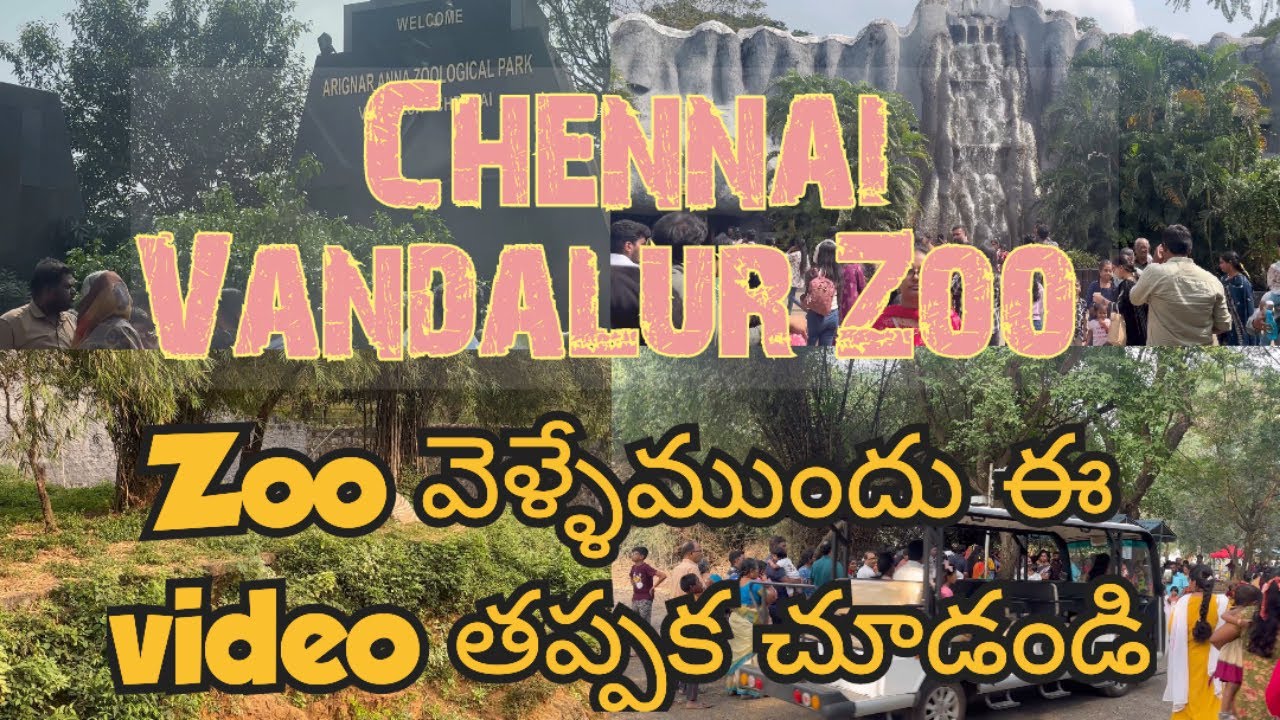 Полная информация о зоопарке Вандалур в Ченнаи на телугу #vandalur #chennai