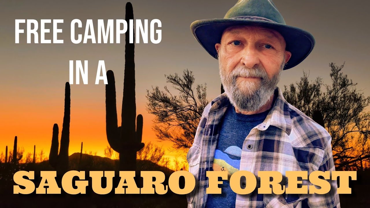 Ironwood Forest National Monument | Arizona | Van Life in a Saguaro Forest