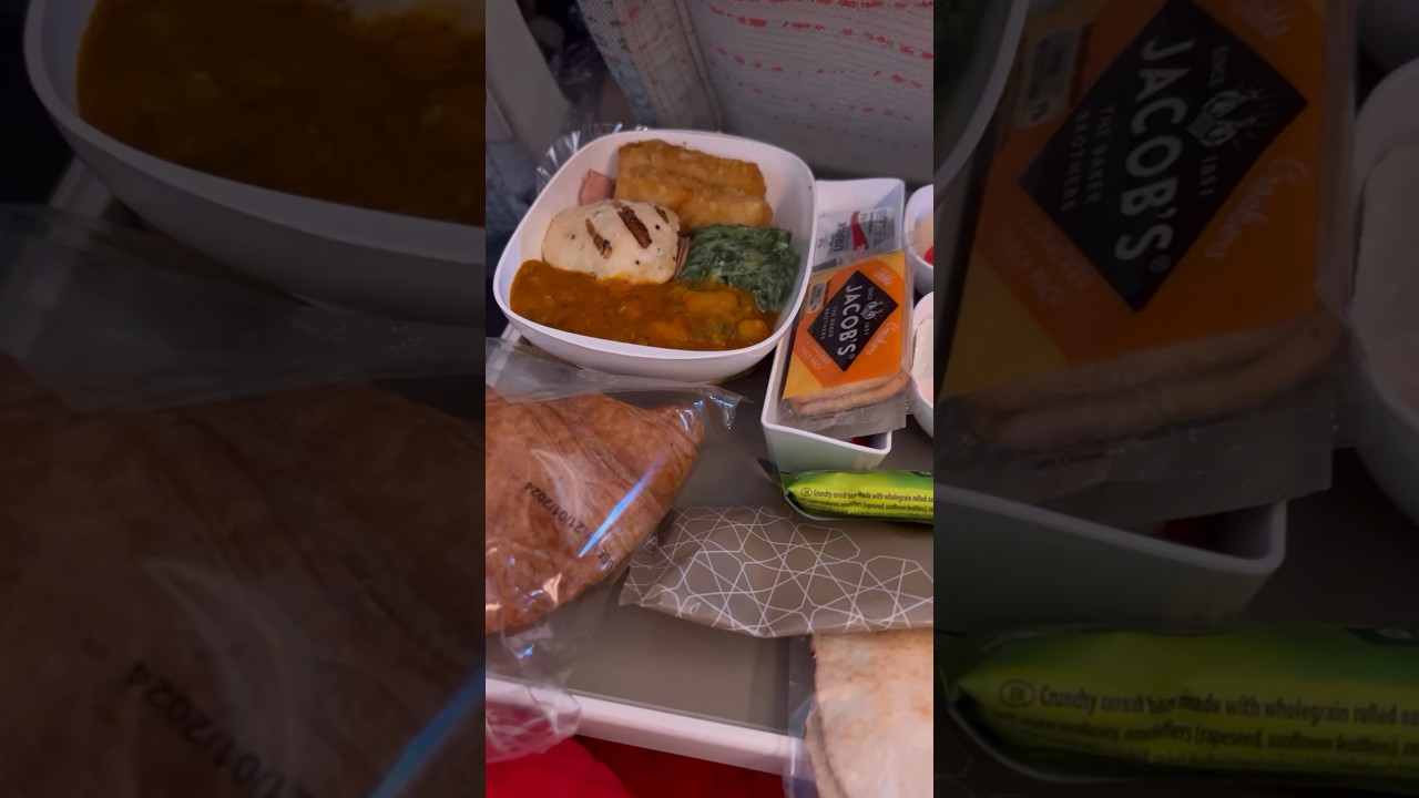 Long flight vlog to Chicago ( USA ) #shorts #longflight #emirates #viral #airplanefood