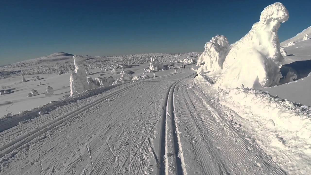 Langrenn i Trysil