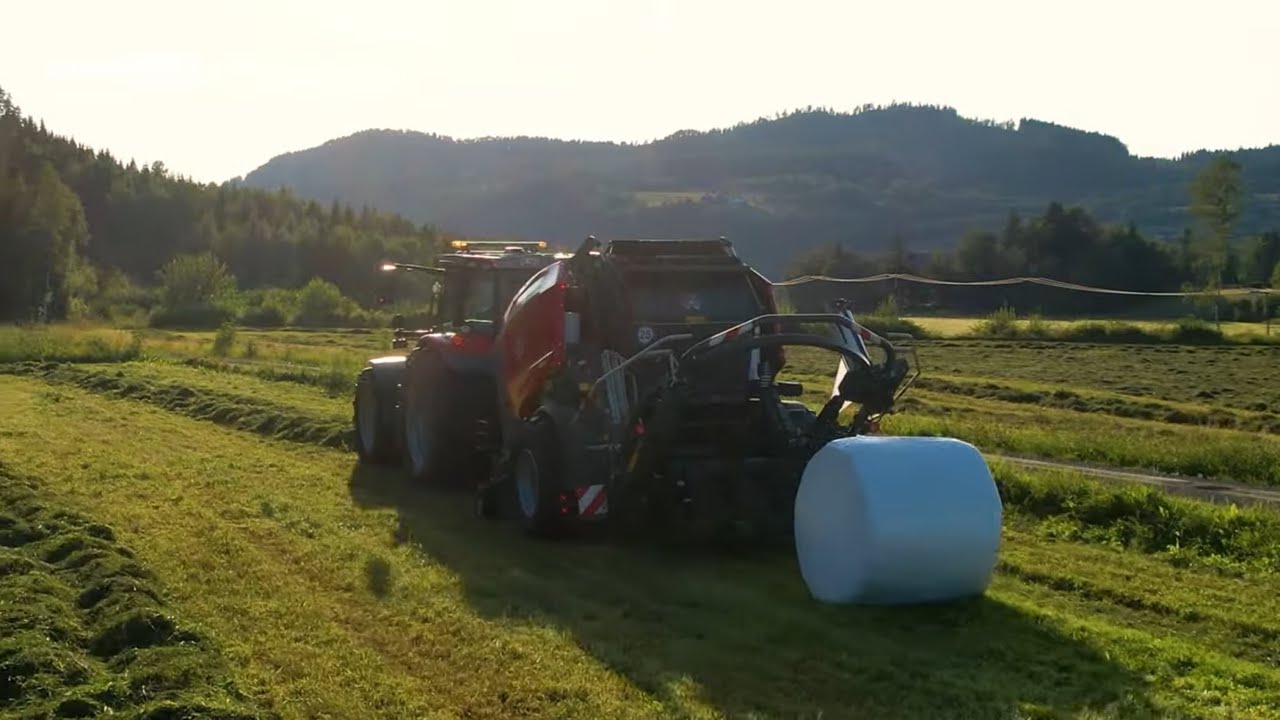 SECOND CUT IN TRØNDELAG | MASSEY FERGUSON | SILAGE
