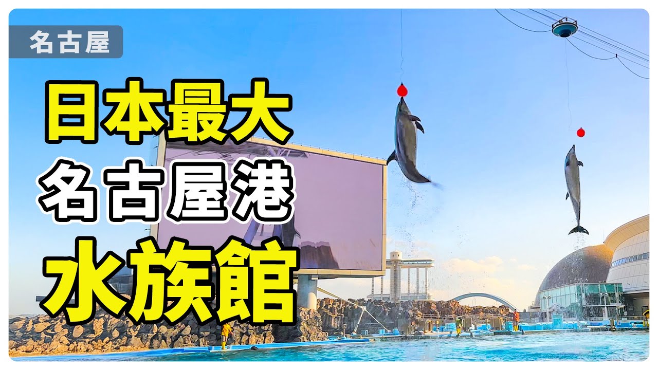 【愛知】日本最大！名古屋港水族館 海豚企鵝白鯨 | IKINARI STEAK