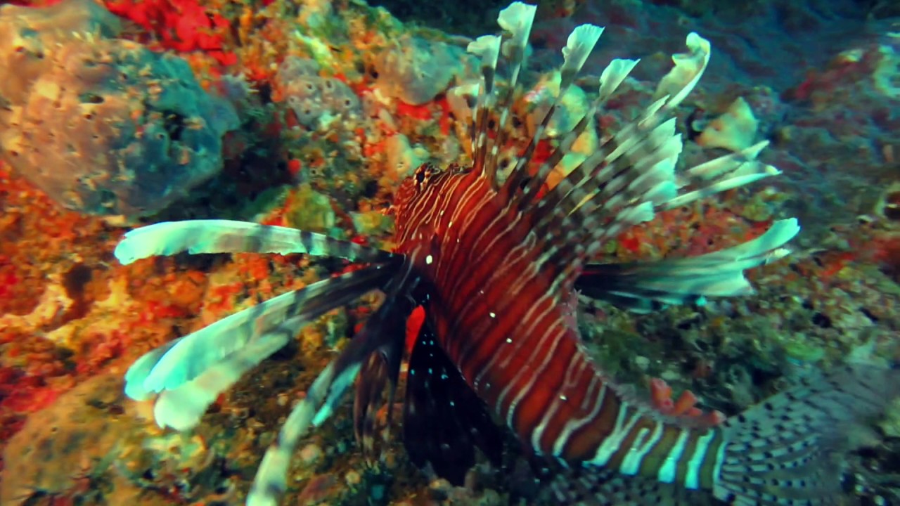 North Male' Atoll,Maldives