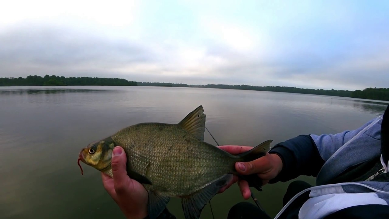 Flötesmte efter stora  Braxen i Snogeholmssjön