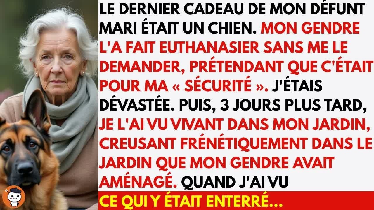 Ils ont fait euthanasier le chien de mon défunt mari… mais je l’ai retrouvé vivant dans mon ja