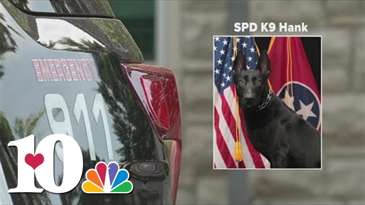 TBI: One dead, four hurt and K-9 shot in Sevier Co. after deputies attempt arrest; victim identified
