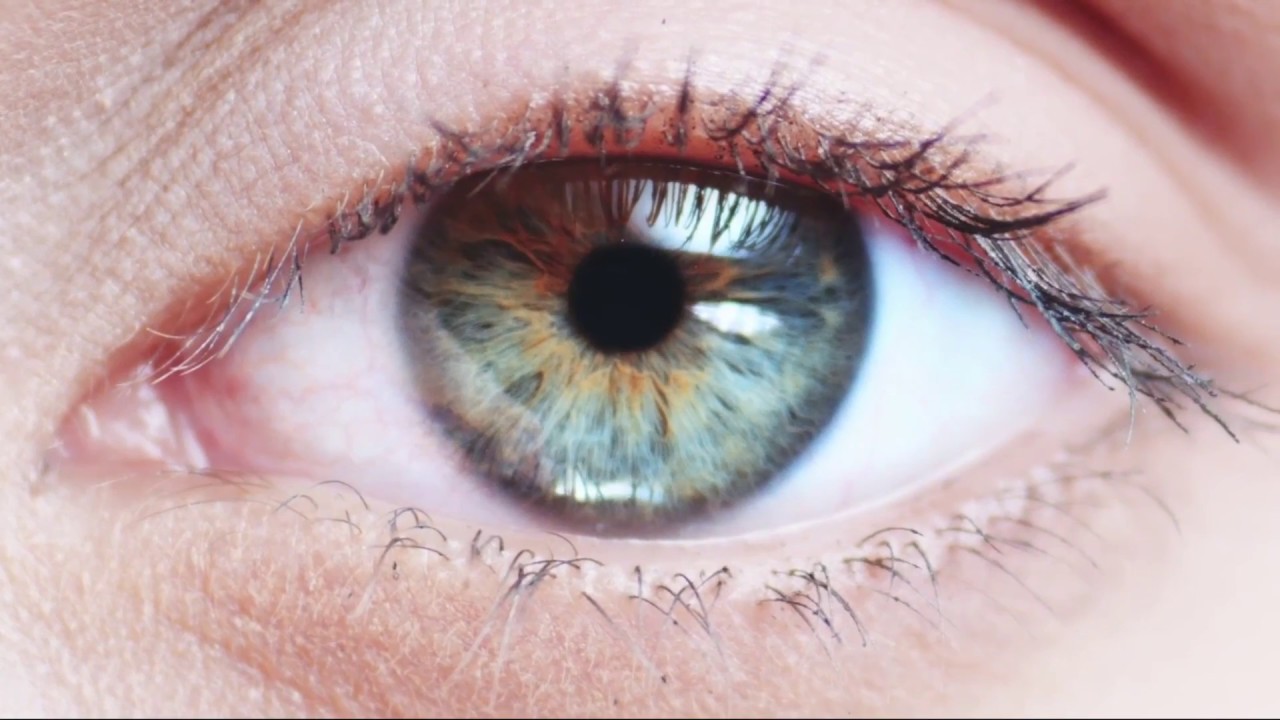 Close the deal at the table of Opportunity! with J. Marcus Productions