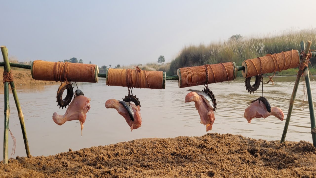 New Bamboo pipe rolling fish trap Best and Popular Hook fishing method by Village Boy.  #fishing
