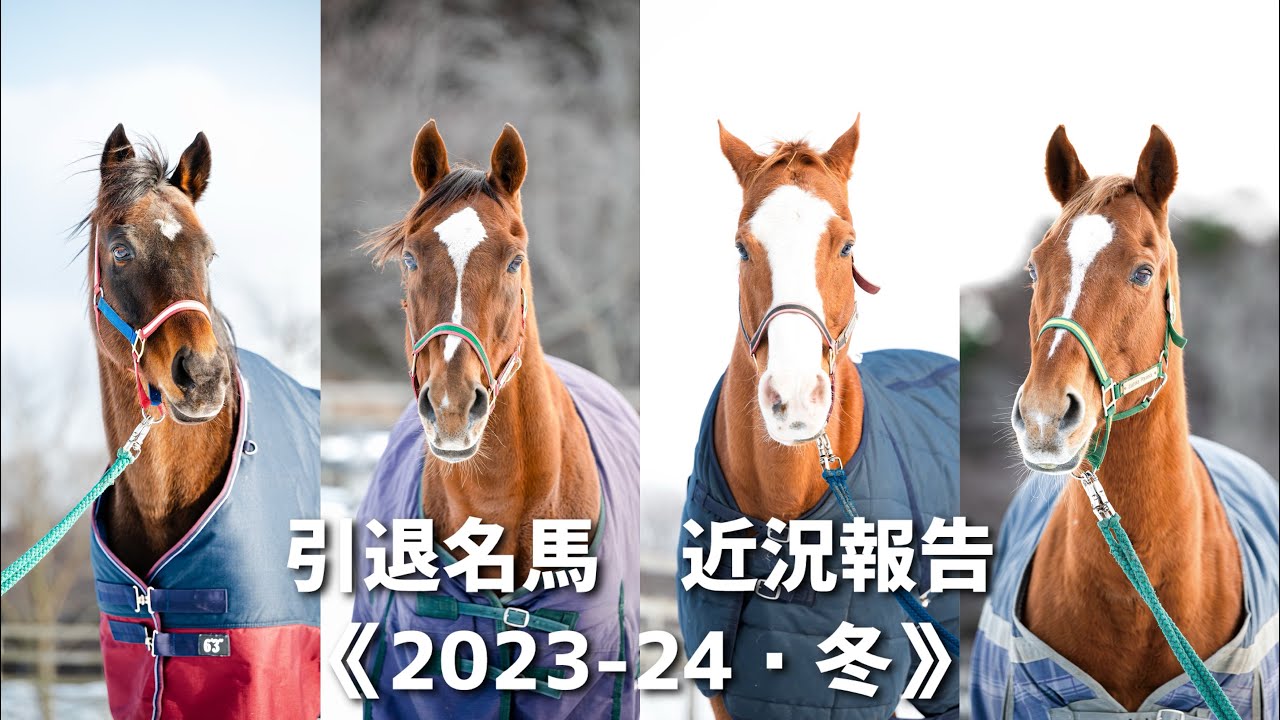 引退名馬近況報告《2023〜24・冬》