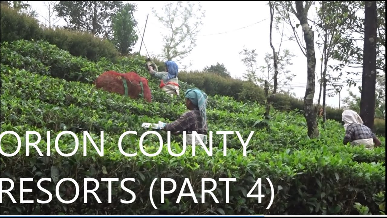 ORION COUNTY RESORTS (PART 4)