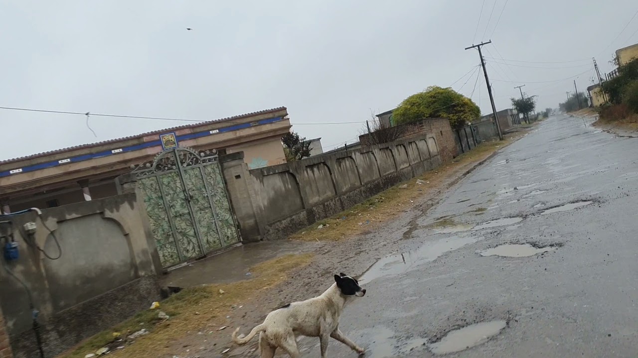 View around Pinwal Road | Chakwal vlog | Pakistan vlog