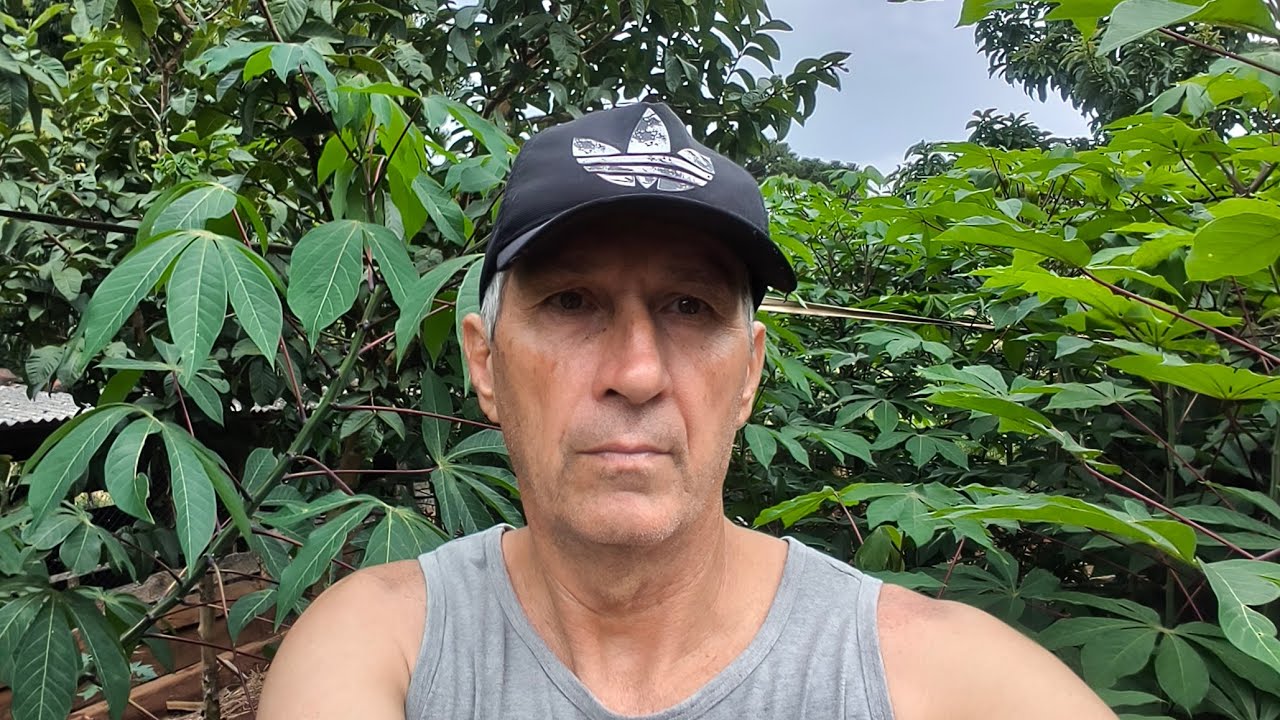 MINHA PLANTAÇÃO NO FUNDA DA NOSSA CASA 