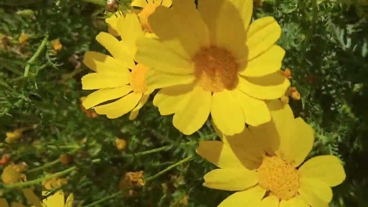 ما أجمل أجواء في البادية