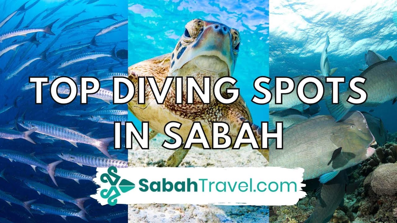 Top Diving Spots in Sabah