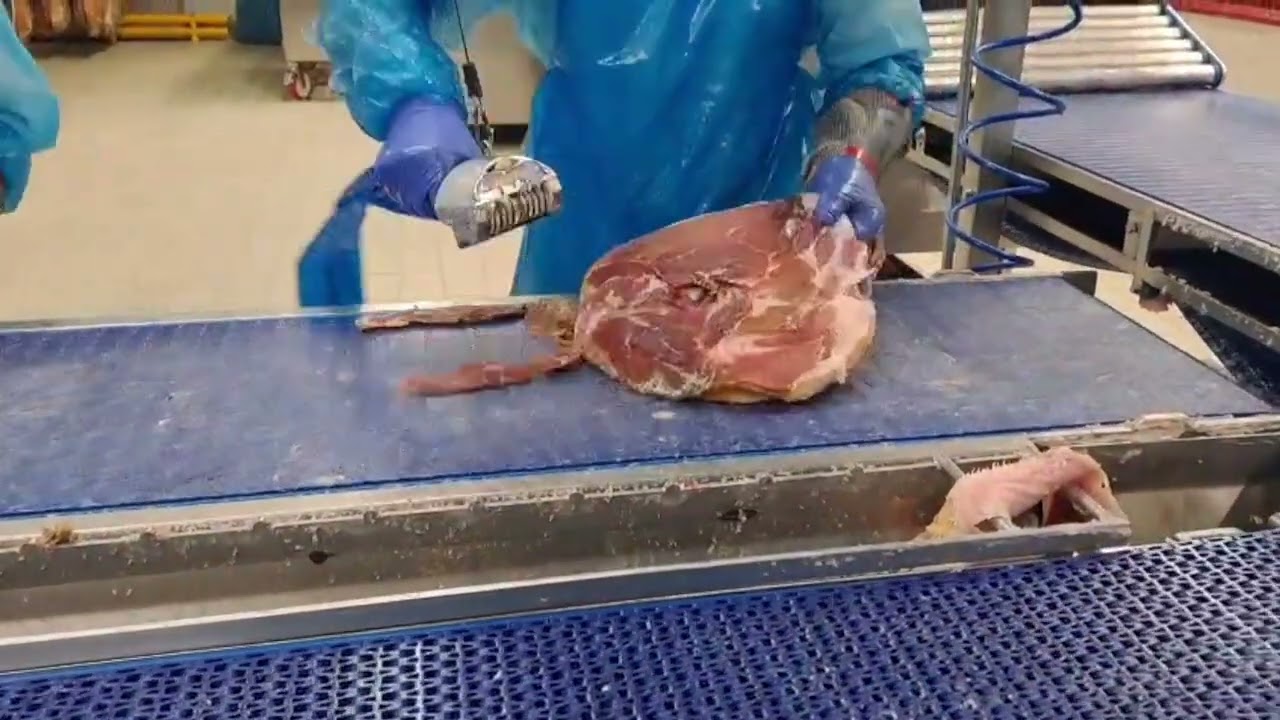 Scotennatrice per prosciutto stagionato