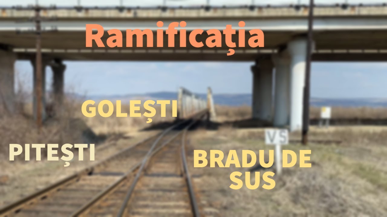Ramificația Golești - Bradu de Sus (rear view)