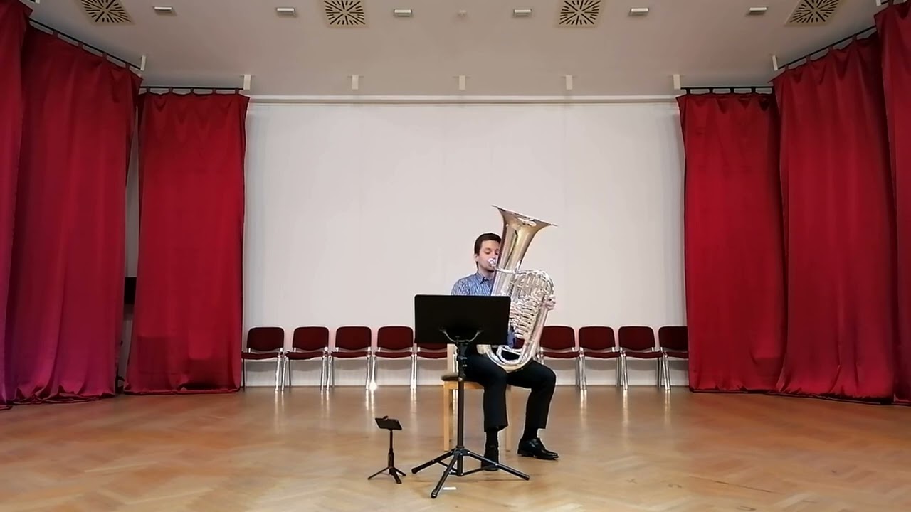 🔵Anthony Plog-Postcards V