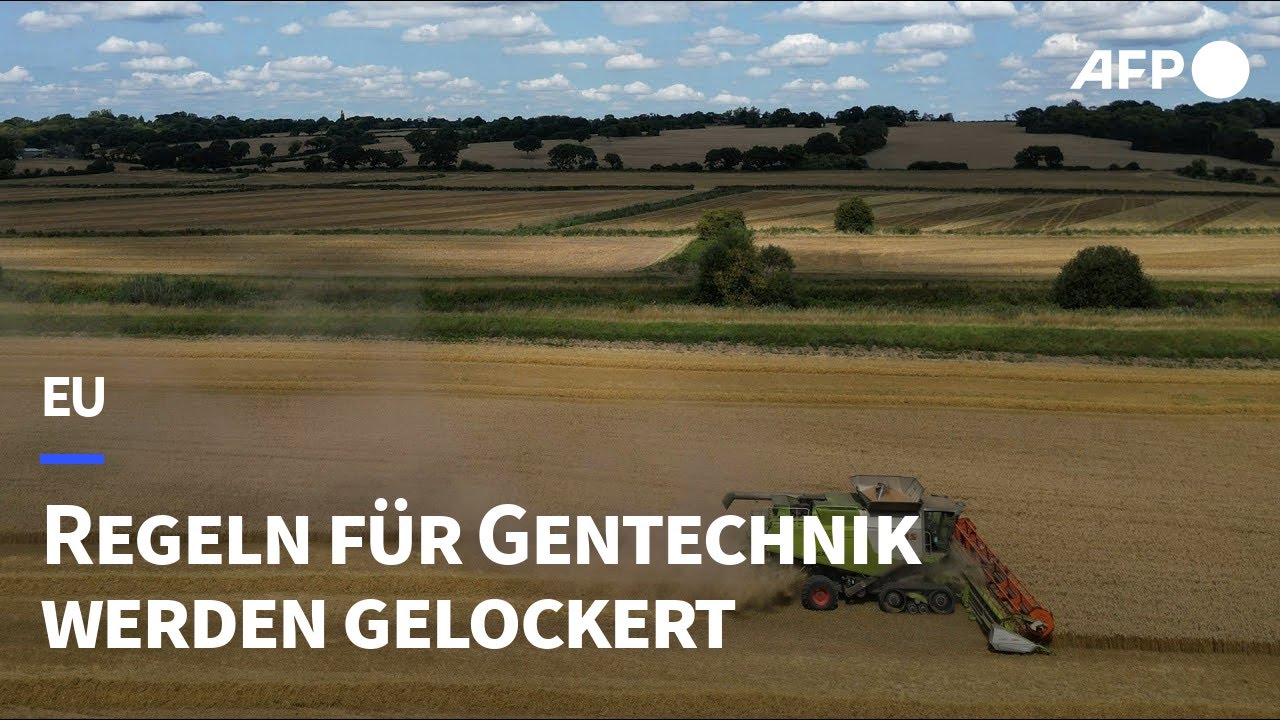 EU will Gentechnik-Regeln lockern | AFP