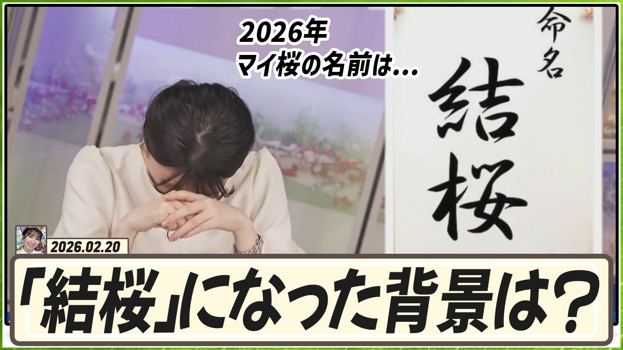 【駒木結衣】 2026年結衣ちゃんのマイ桜の名前が「結桜」に決まった背景にはこのクイズがあります