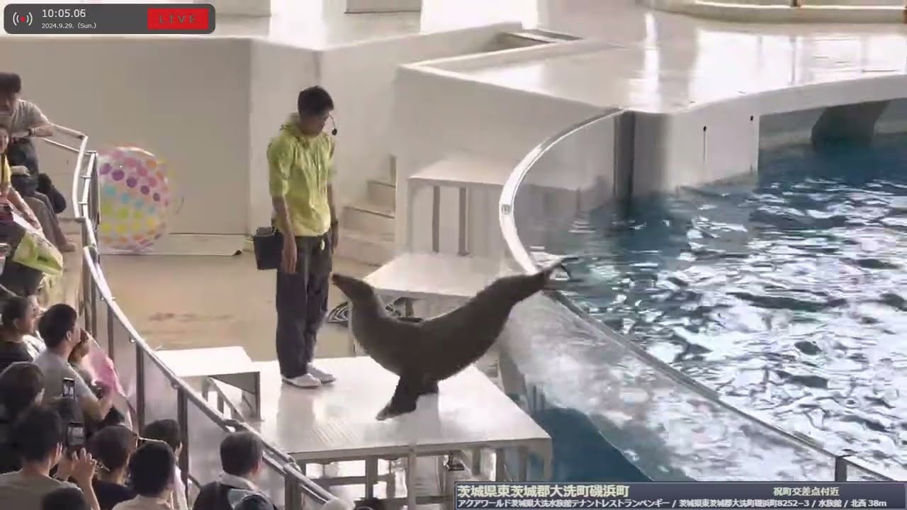 アクアワールド茨城県大洗水族館 ライブ配信