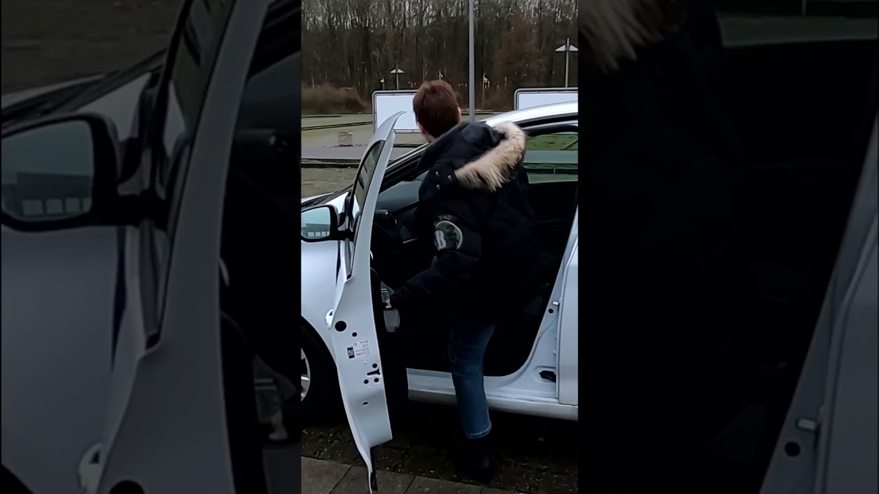 St&auml;dte sind laut - Elektroautos sind leise #elektroauto #zoe